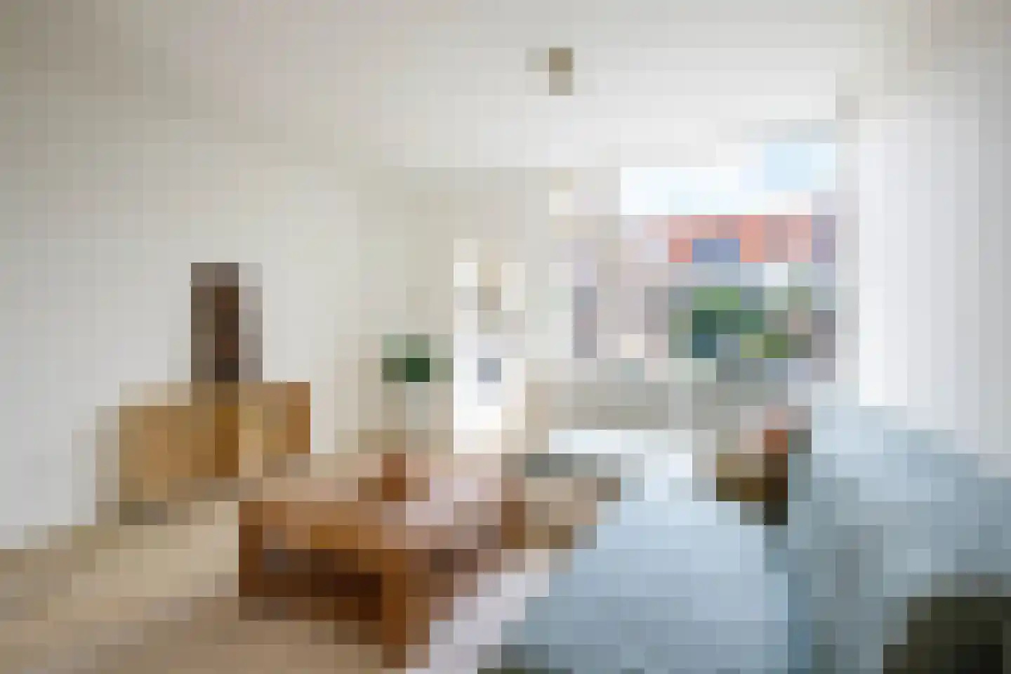 Antilopestraat 59 Rotterdam thumbnail 6