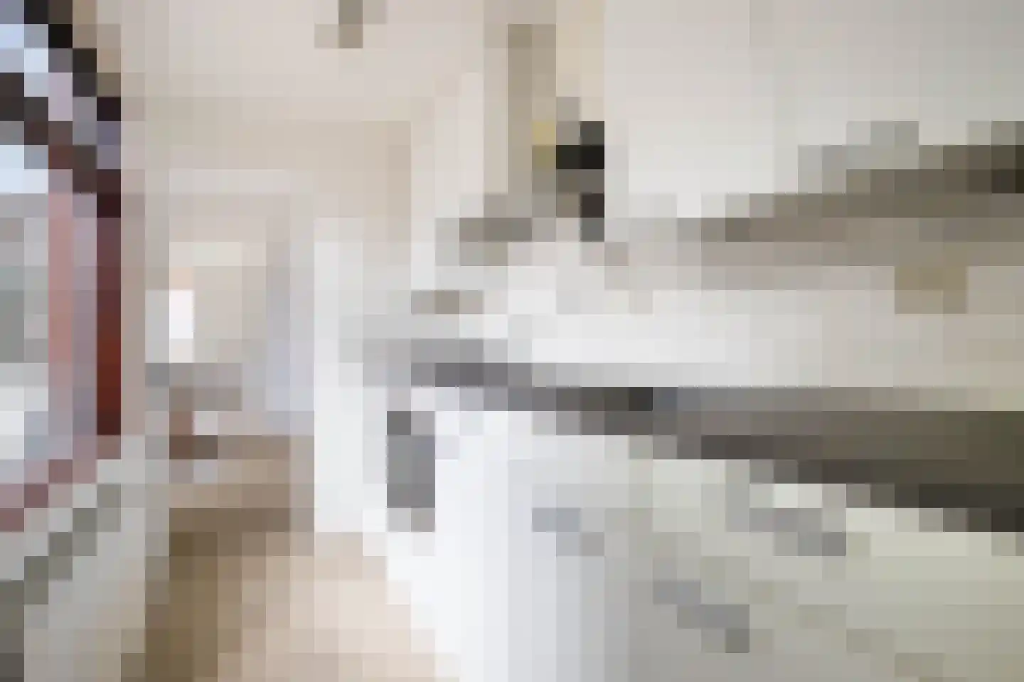 Antilopestraat 59 Rotterdam thumbnail 9