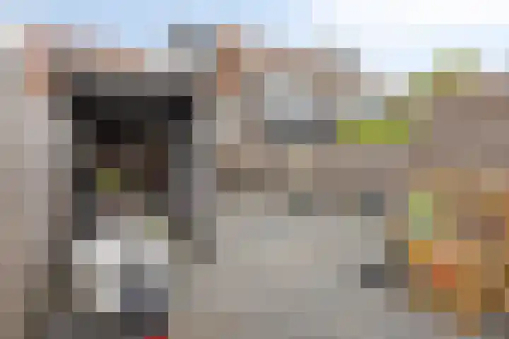 Antilopeweide 10 Nieuwegein thumbnail 28
