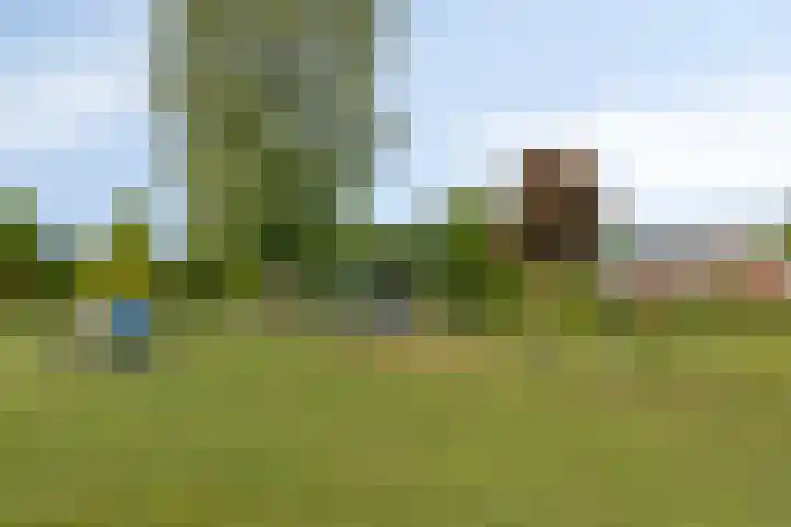Antilopeweide 10 Nieuwegein thumbnail 31