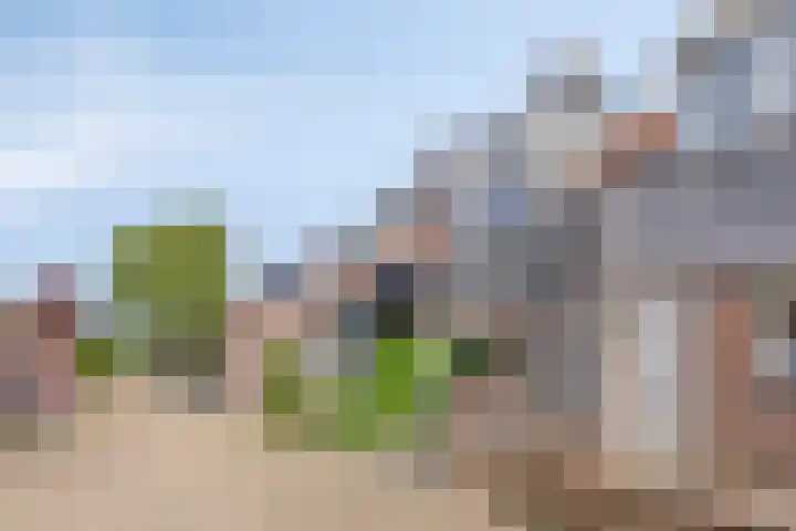 Antilopeweide 10 Nieuwegein thumbnail 4