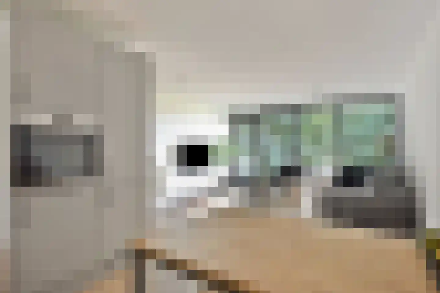 Antje Breijerstraat 11 Hoofddorp thumbnail 7