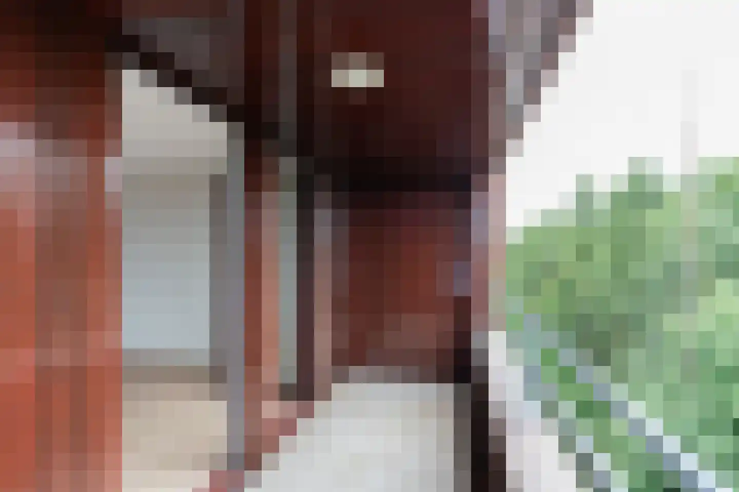 Antje Breijerstraat 117 Hoofddorp thumbnail 35