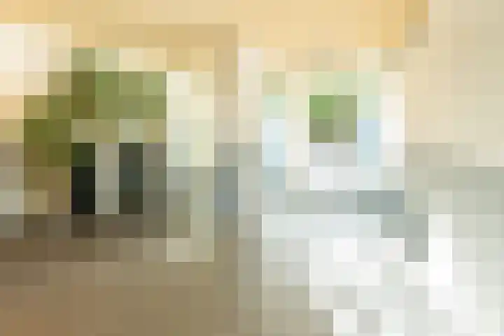 Antje Breijerstraat 155 Hoofddorp thumbnail 6