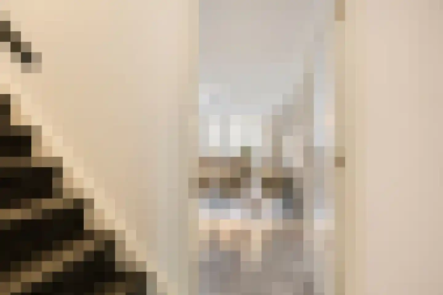 Antje Breijerstraat 18 Hoofddorp thumbnail 22