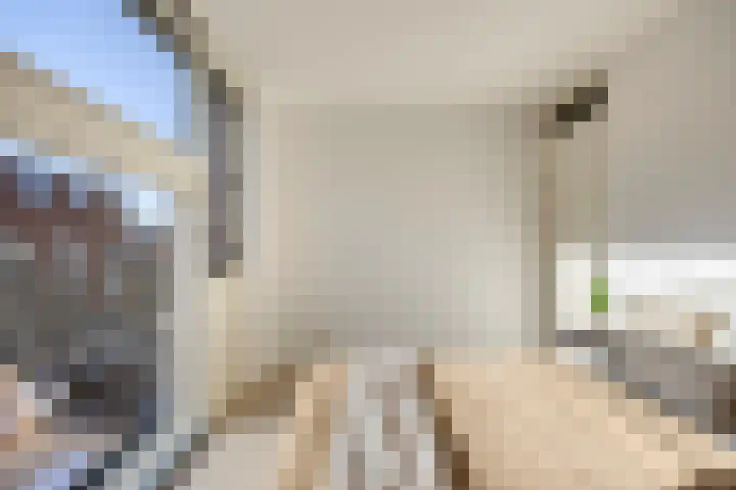 Antje Breijerstraat 18 Hoofddorp thumbnail 49