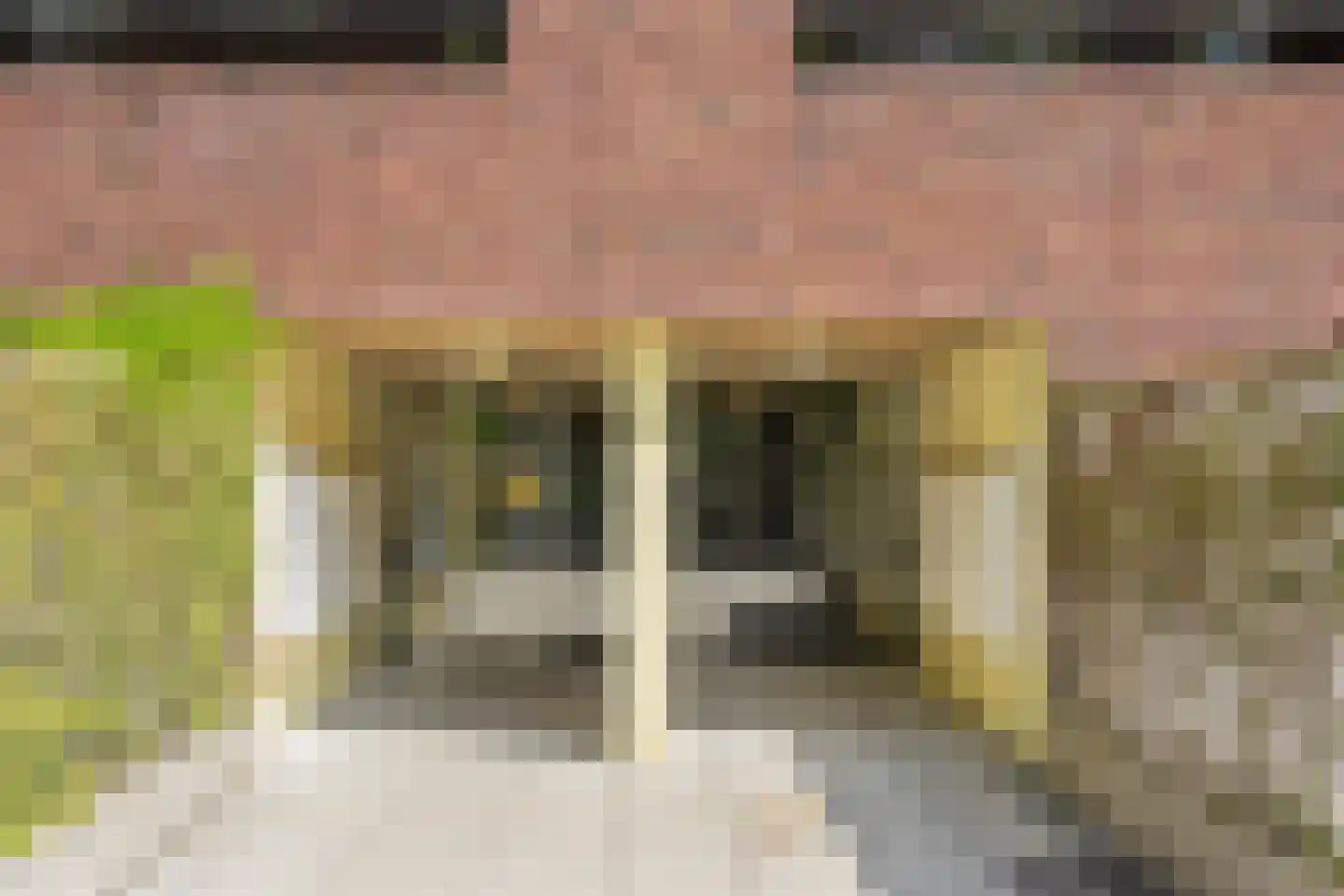 Antje Breijerstraat 195 Hoofddorp thumbnail 9