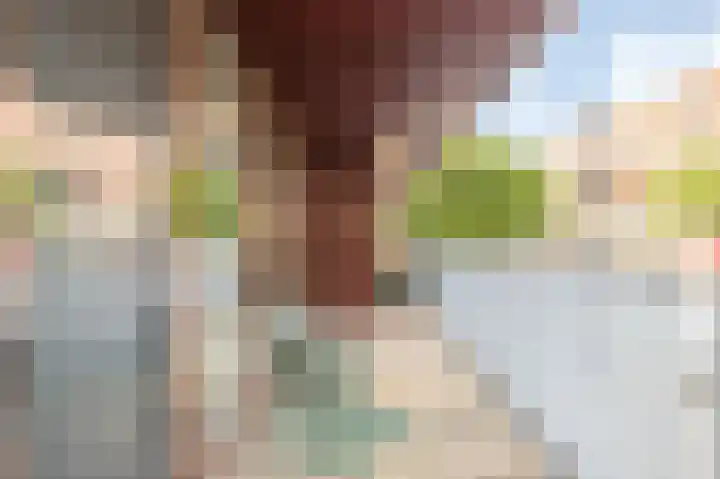 Antje Breijerstraat 24 Hoofddorp thumbnail 16