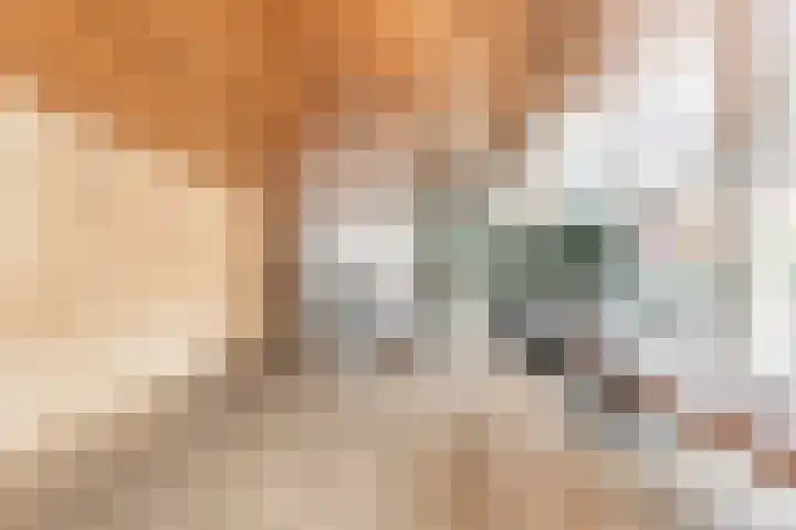 Antje Breijerstraat 24 Hoofddorp thumbnail 6