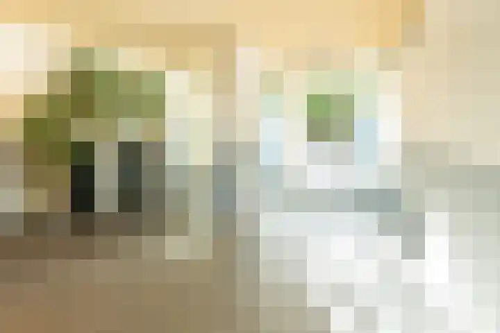 Antje Breijerstraat 241 Hoofddorp thumbnail 6
