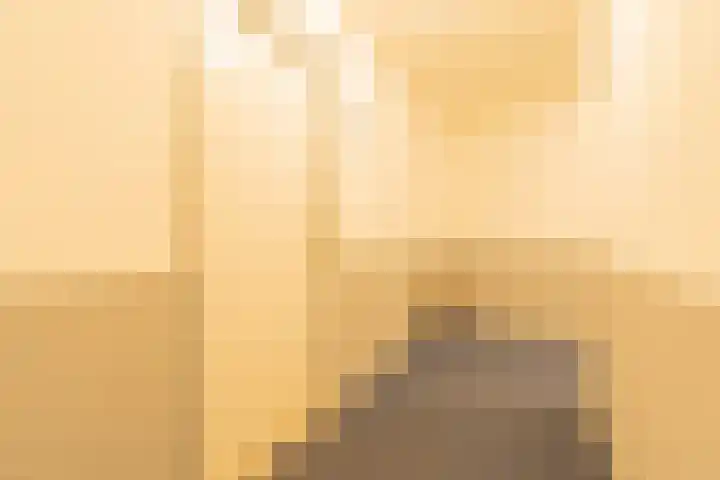 Antje Breijerstraat 241 Hoofddorp thumbnail 8
