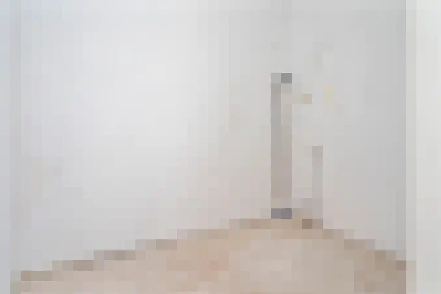 Antje Breijerstraat 255 Hoofddorp thumbnail 13