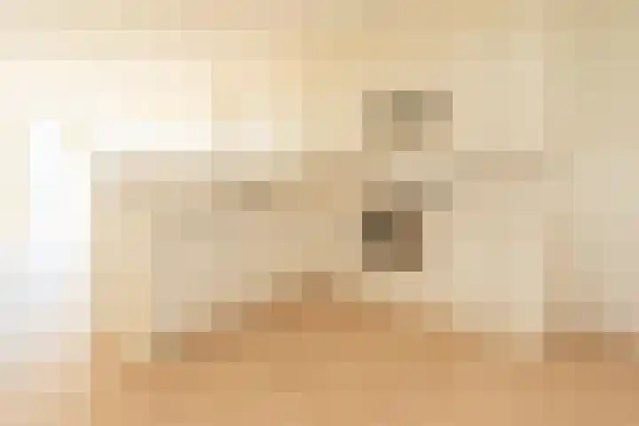 Antje Breijerstraat 257 Hoofddorp thumbnail 4