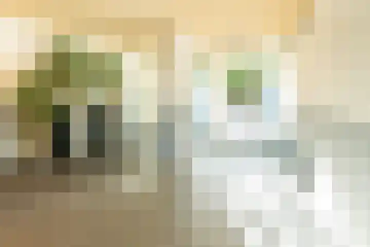 Antje Breijerstraat 257 Hoofddorp thumbnail 8