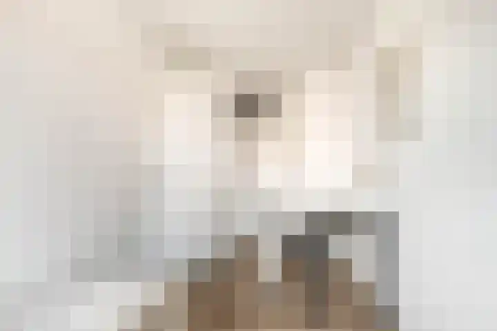 Antje Breijerstraat 40 Hoofddorp thumbnail 16
