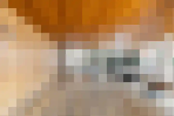 Antje Breijerstraat 40 Hoofddorp thumbnail 8