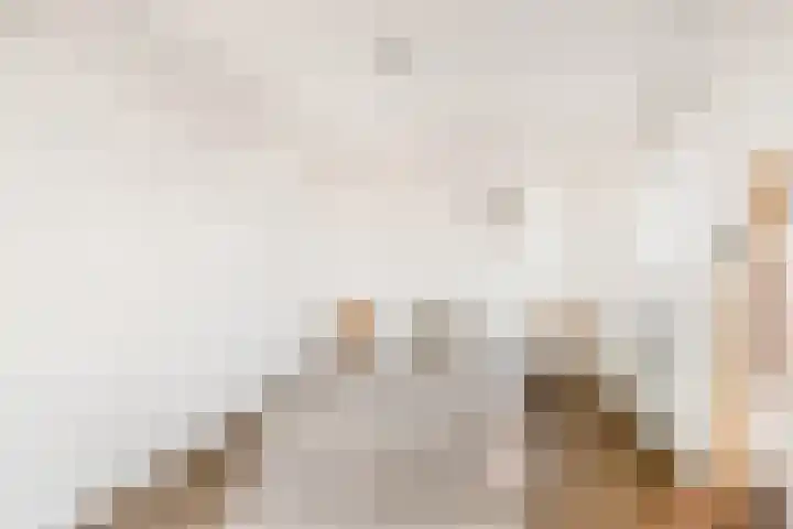 Antje Breijerstraat 62 Hoofddorp thumbnail 33