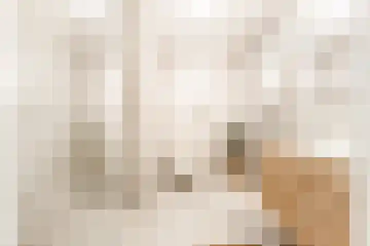 Antje Breijerstraat 62 Hoofddorp thumbnail 36