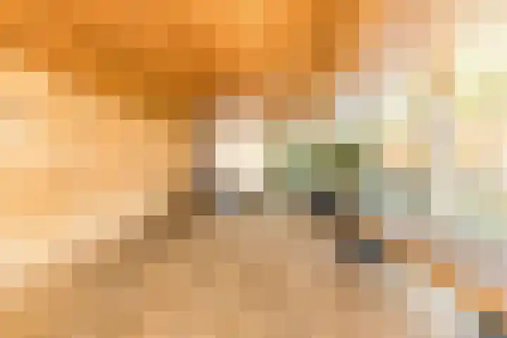 Antje Breijerstraat 62 Hoofddorp thumbnail 6
