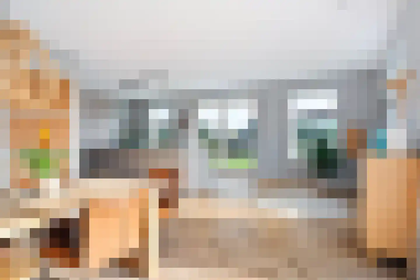 Antje Schaaplân 4 Leeuwarden thumbnail 11