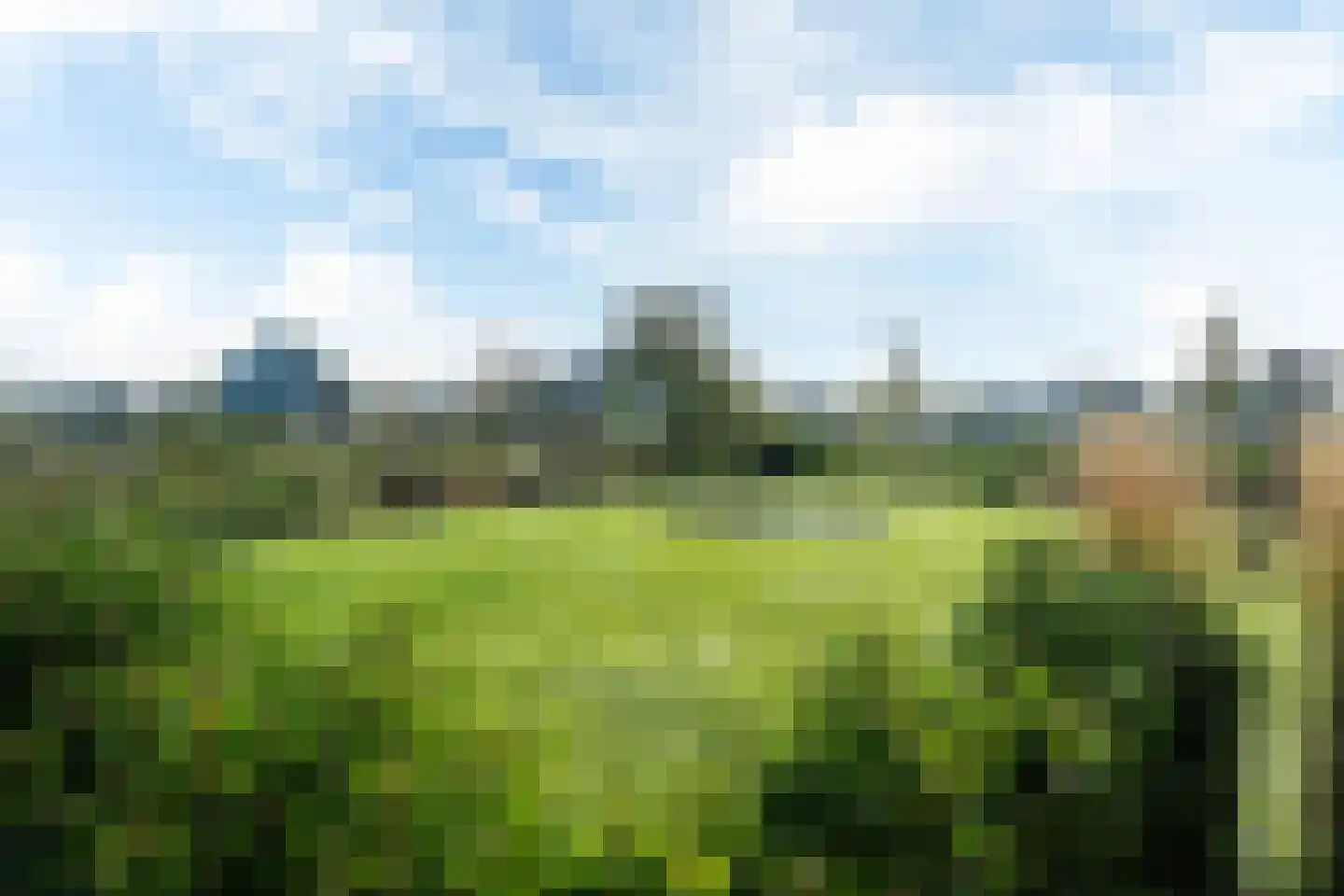 Antje Schaaplân 4 Leeuwarden thumbnail 40