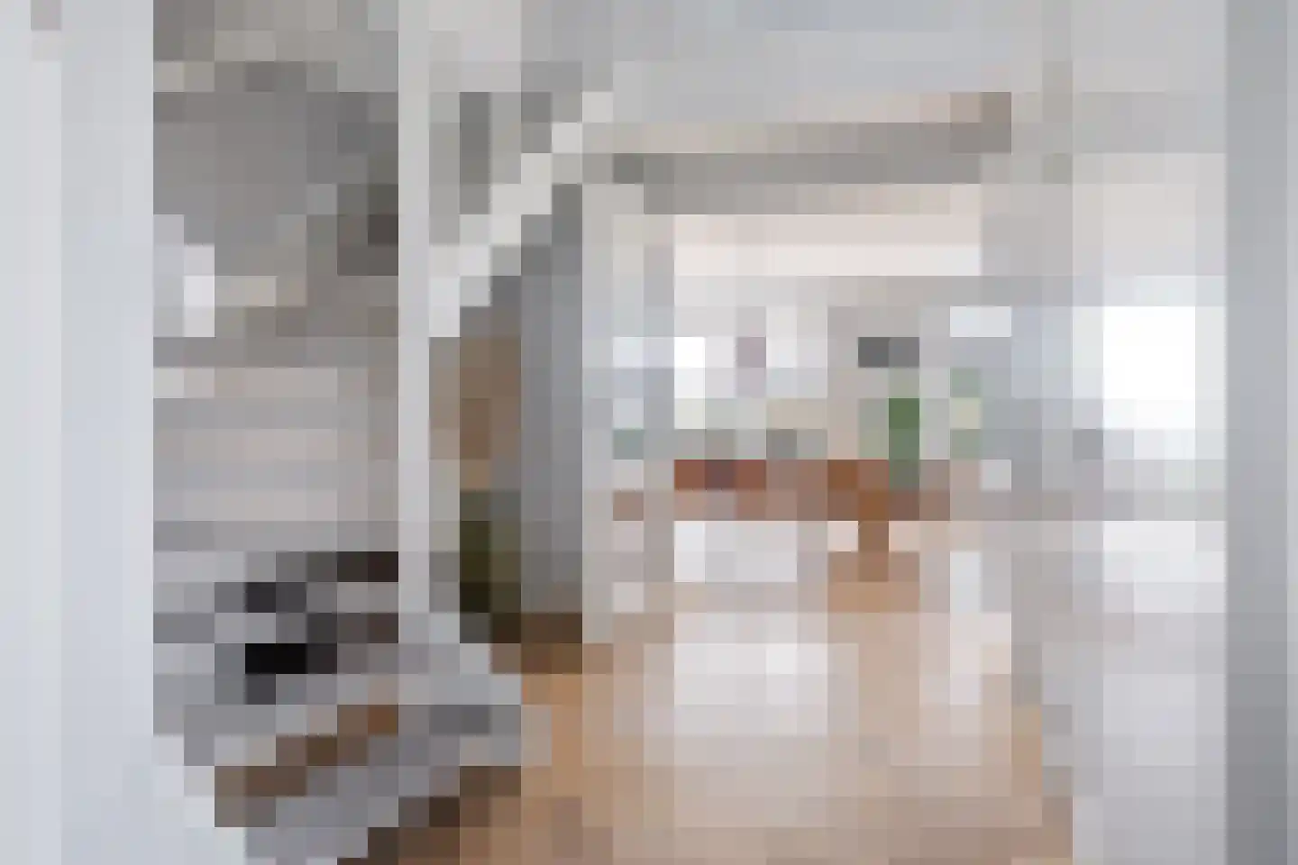 Antje Schaaplân 4 Leeuwarden thumbnail 52