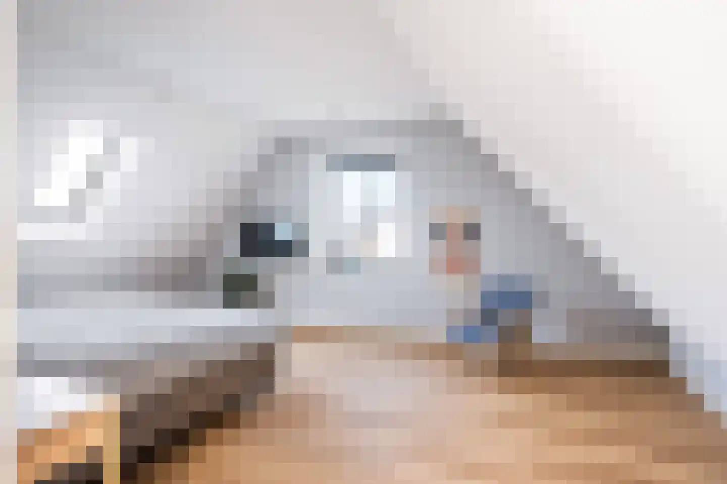 Antje Schaaplân 4 Leeuwarden thumbnail 55