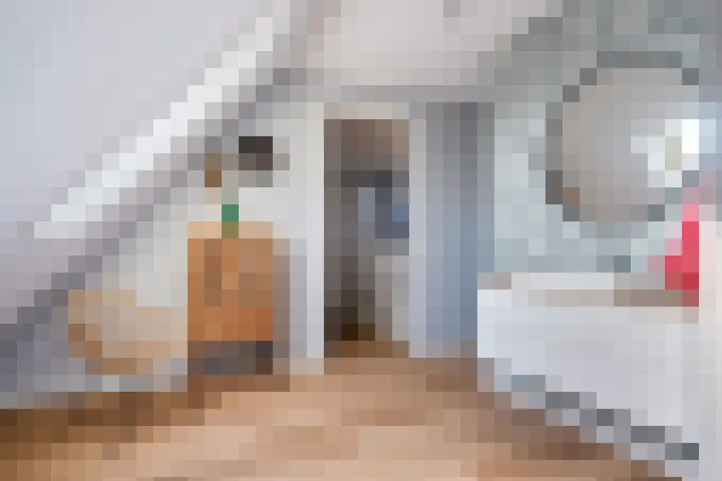 Antje Schaaplân 4 Leeuwarden thumbnail 59