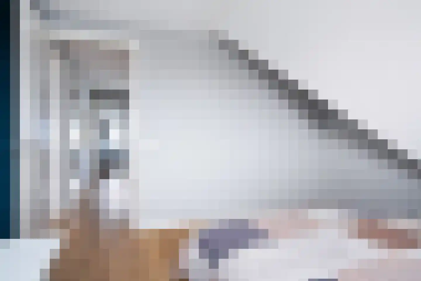 Antje Schaaplân 4 Leeuwarden thumbnail 61