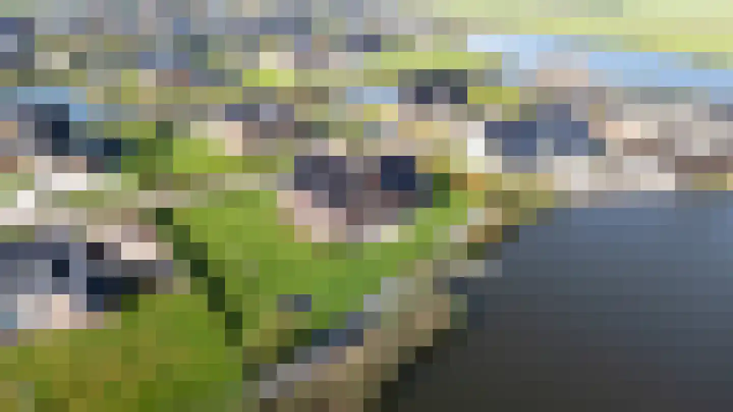 Antje Schaaplân 4 Leeuwarden thumbnail 76