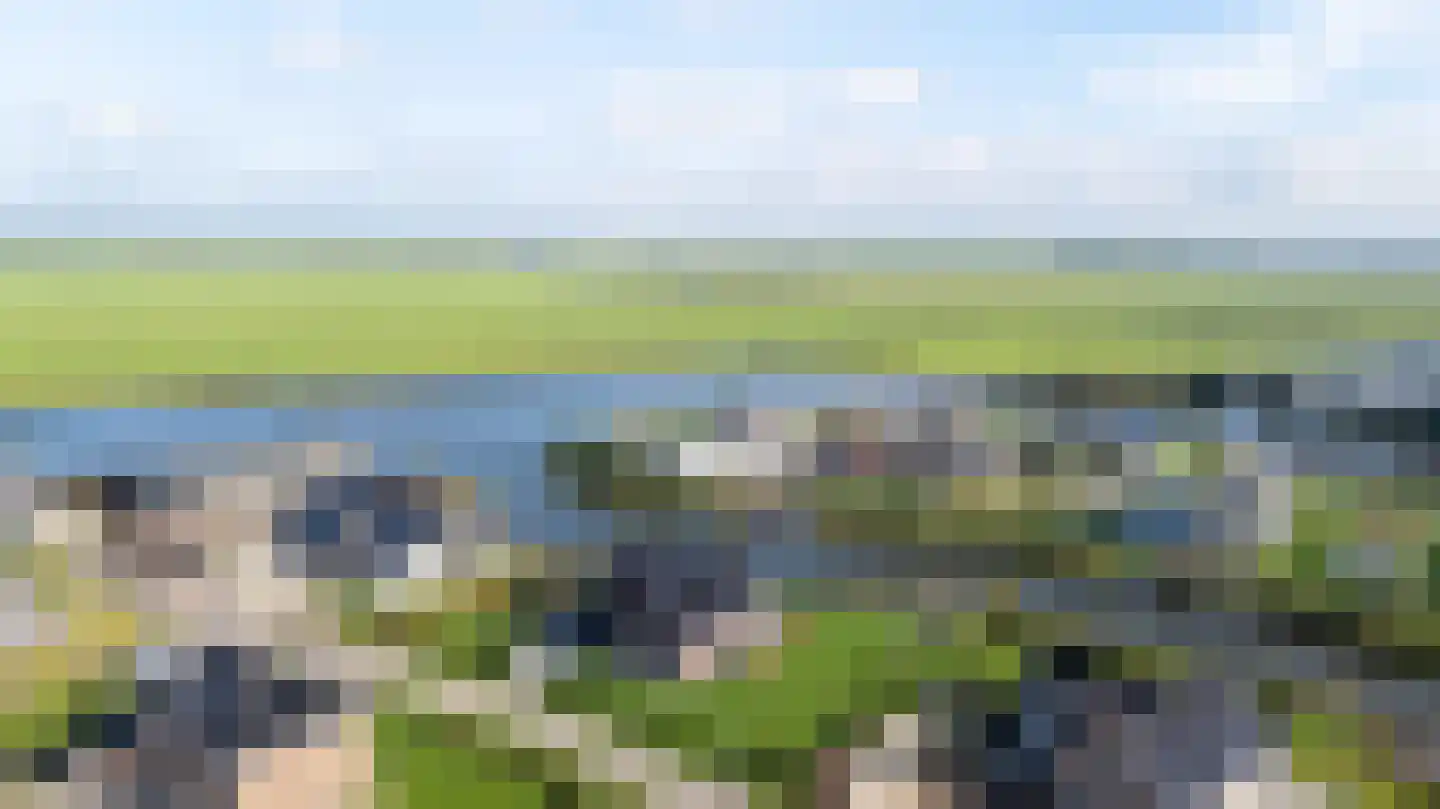 Antje Schaaplân 4 Leeuwarden thumbnail 77