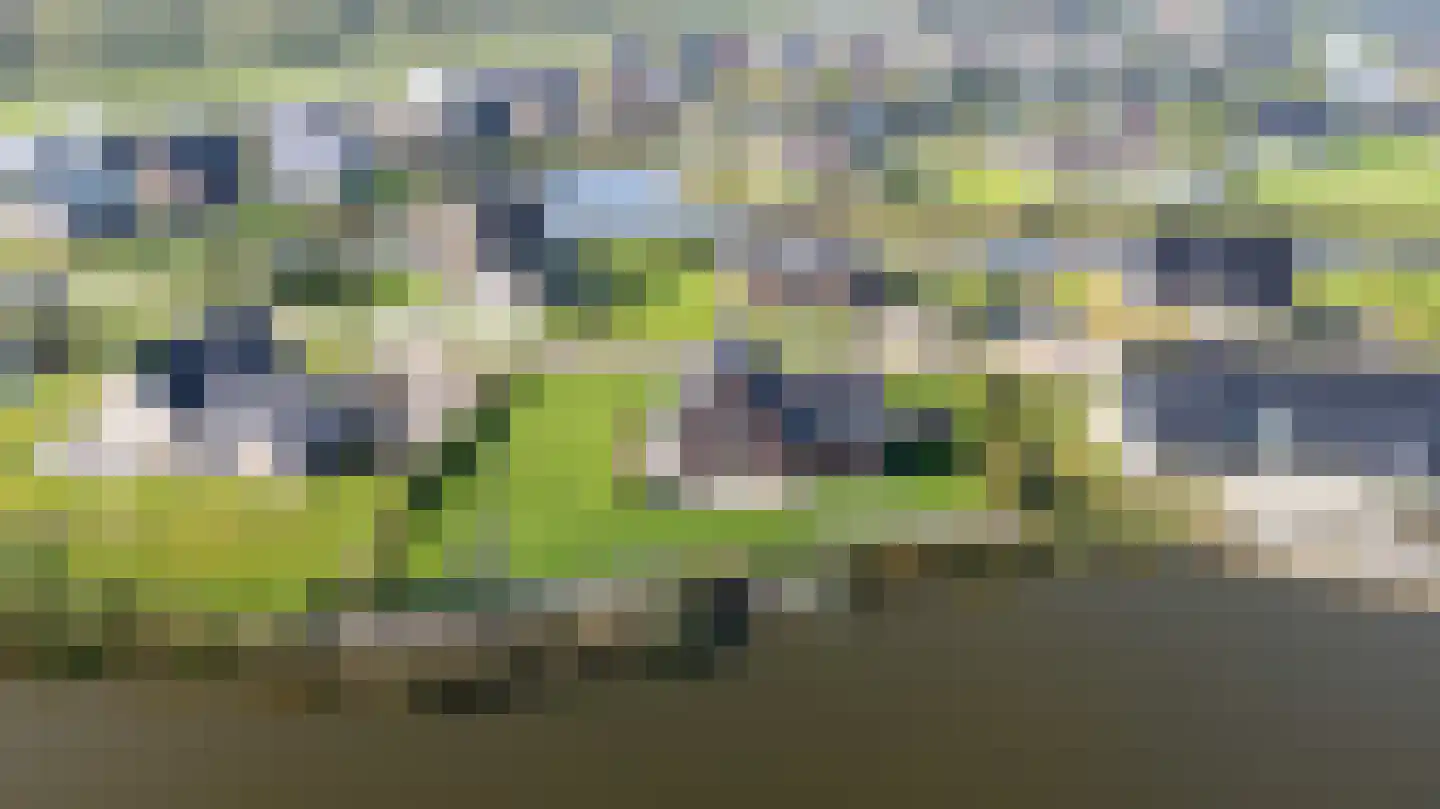 Antje Schaaplân 4 Leeuwarden thumbnail 79