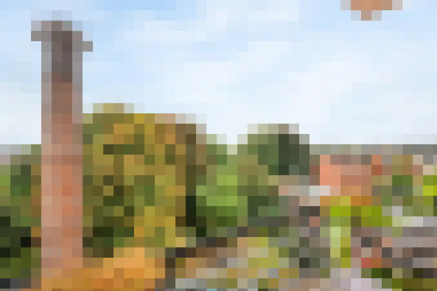 Antoine Artsplein 25 B7 Tilburg thumbnail 16