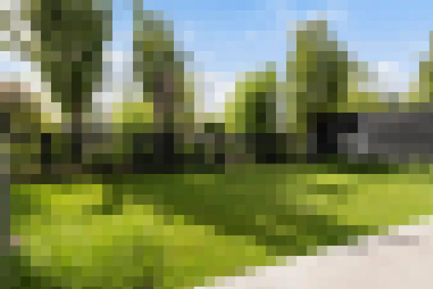 Antoinette Knappertstraat 17 Rotterdam thumbnail 4