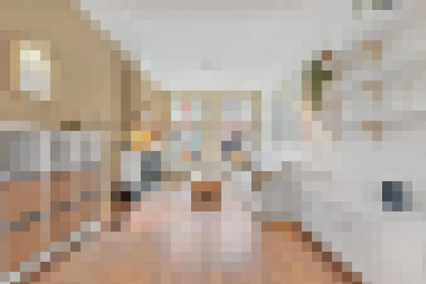 Anton de Haenstraat 120 Den Haag thumbnail 11