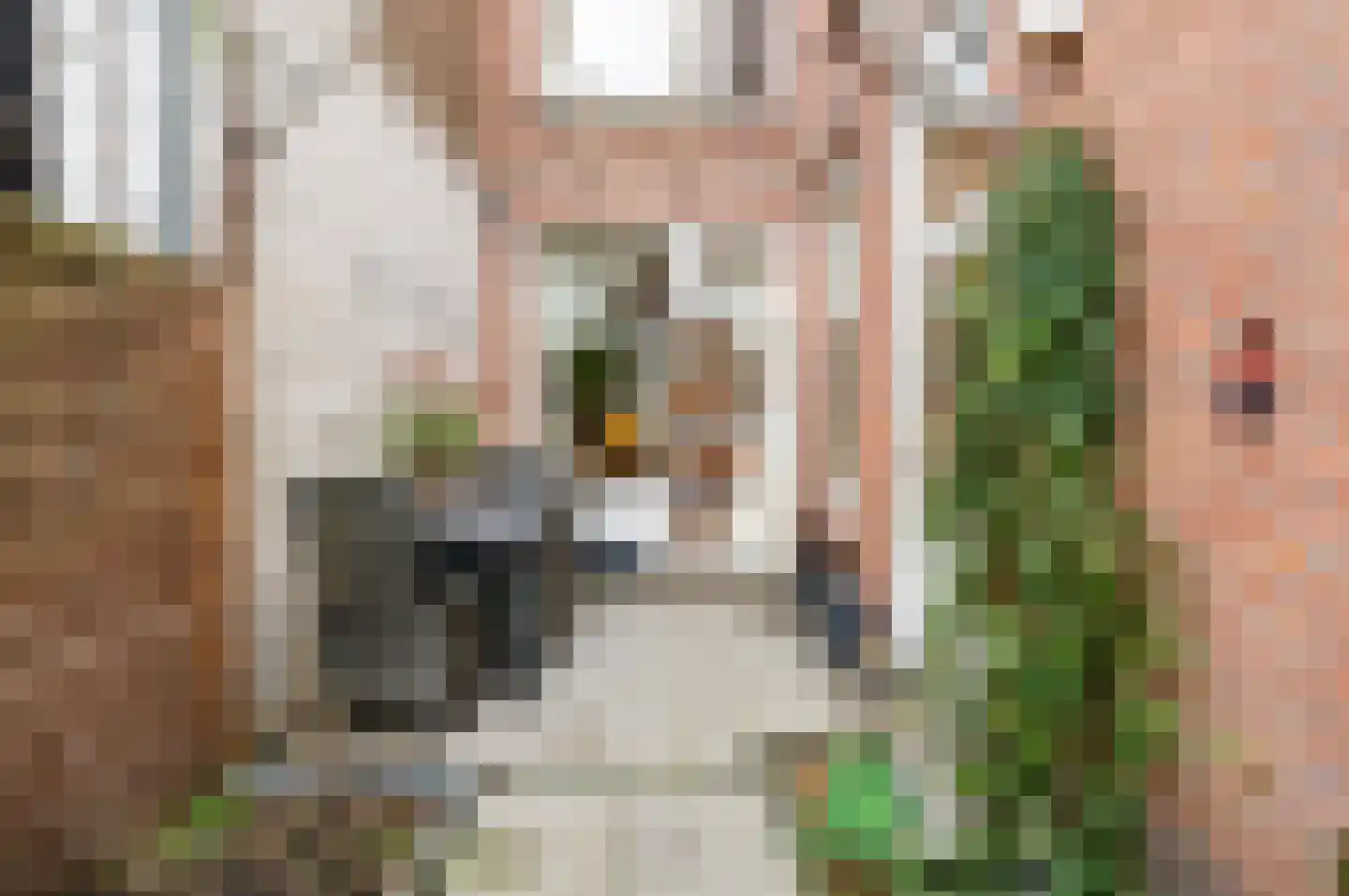 Anton de Haenstraat 120 Den Haag thumbnail 16