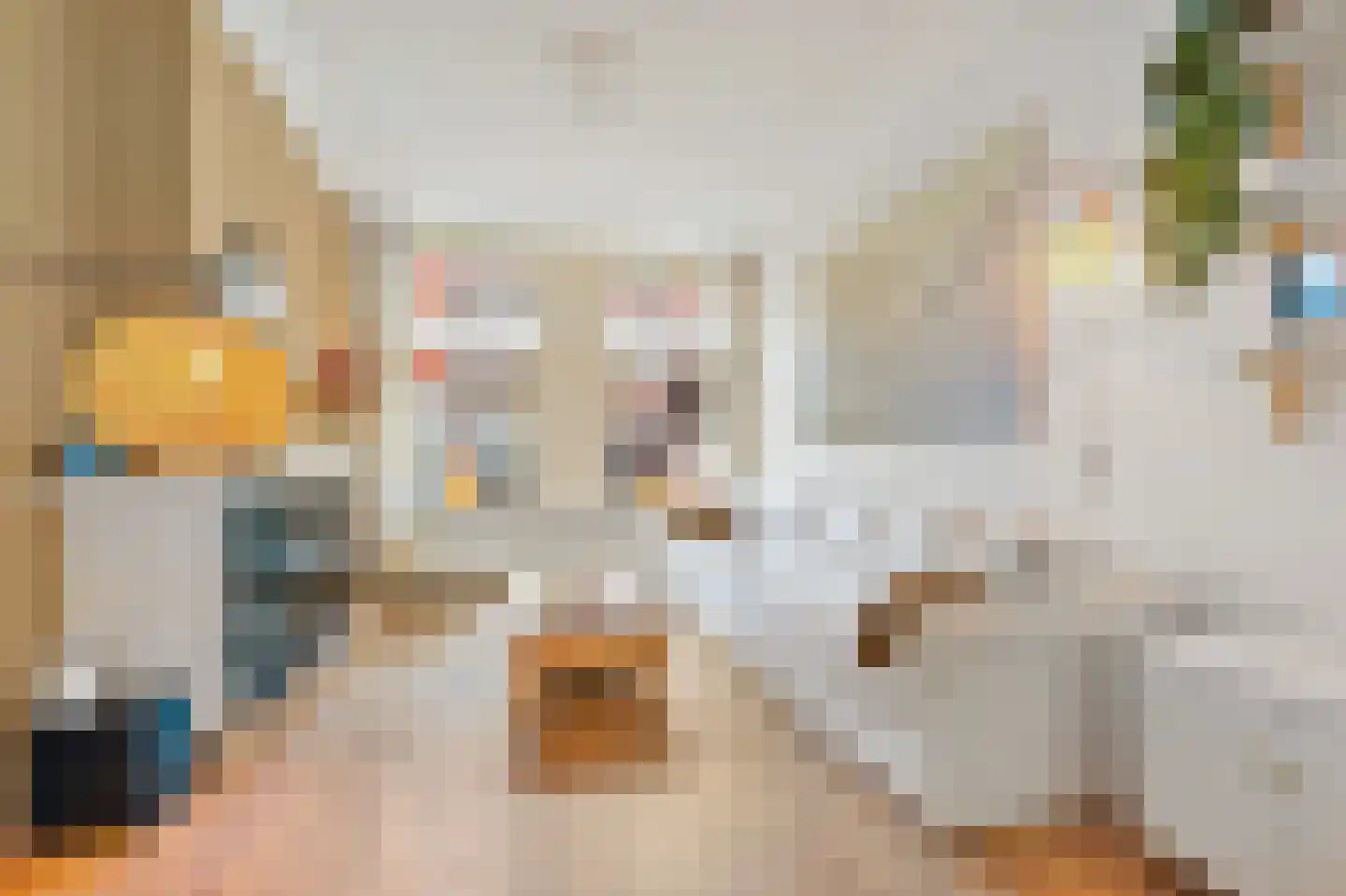 Anton de Haenstraat 120 Den Haag thumbnail 9