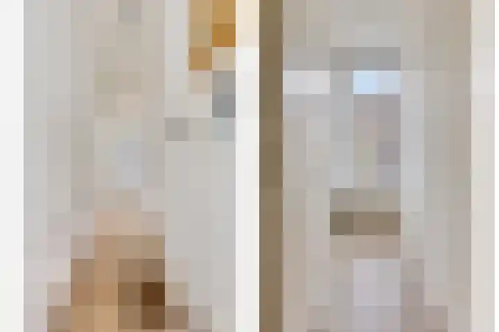 Anton de Haenstraat 16 Den Haag thumbnail 12