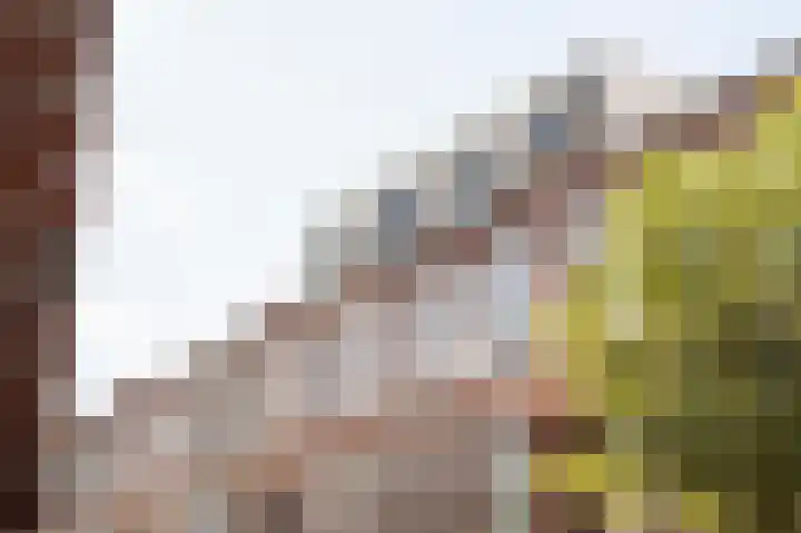 Anton de Haenstraat 66 Den Haag thumbnail 4
