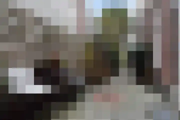 Anton de Haenstraat 74 Den Haag thumbnail 14
