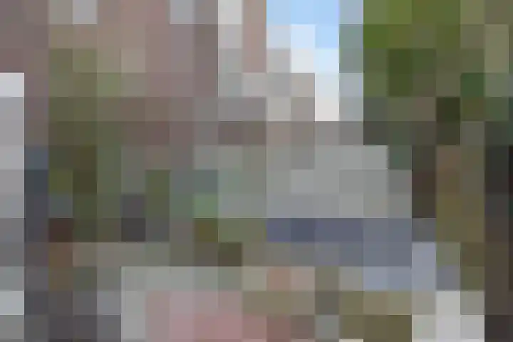 Anton de Haenstraat 74 Den Haag thumbnail 17