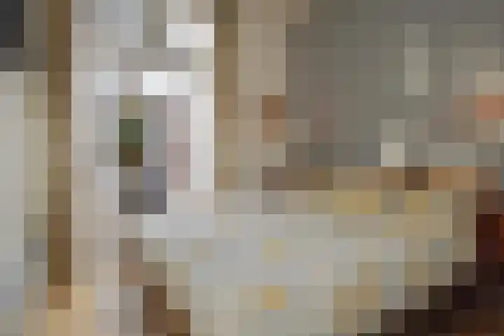 Anton de Haenstraat 74 Den Haag thumbnail 32