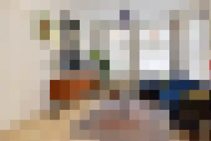 Anton de Haenstraat 74 Den Haag thumbnail 8