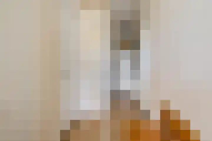 Anton de Haenstraat 85 Den Haag thumbnail 10