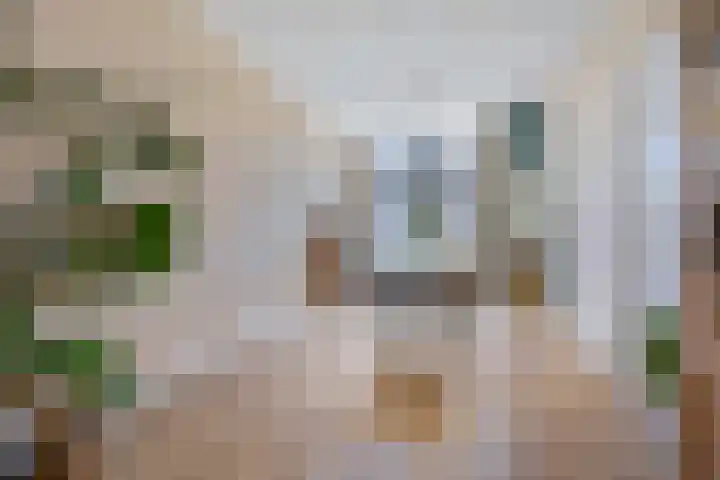 Anton de Haenstraat 85 Den Haag thumbnail 4
