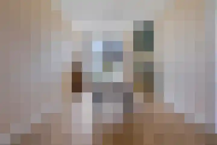 Anton de Haenstraat 85 Den Haag thumbnail 5