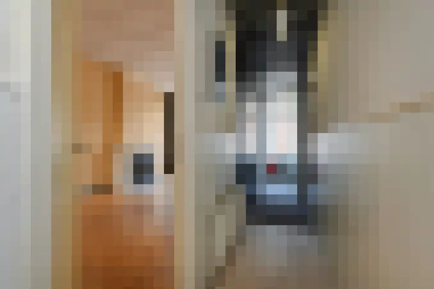 Anton de Haenstraat 94 Den Haag thumbnail 6