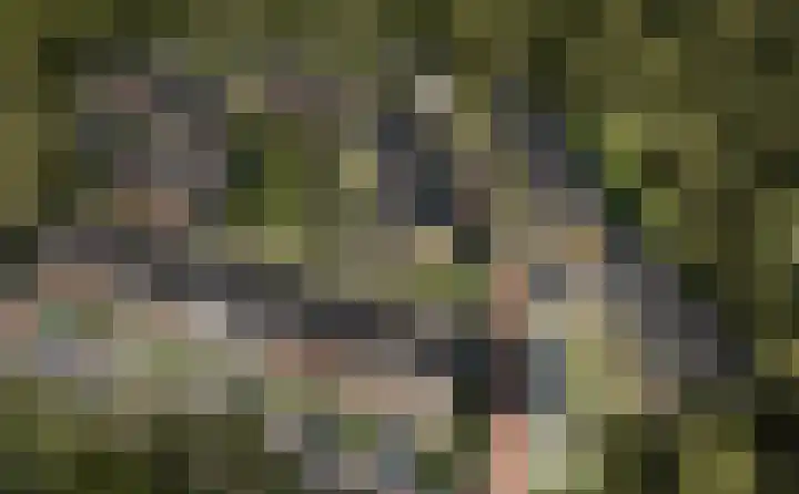 Anton de Komweg 3 Oosterbeek thumbnail 5