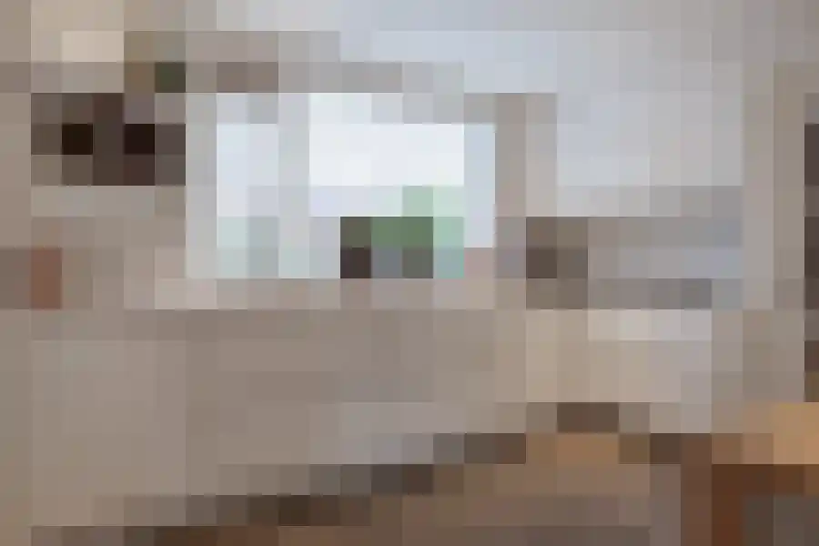 Anton Deenplein 17 Volendam thumbnail 11