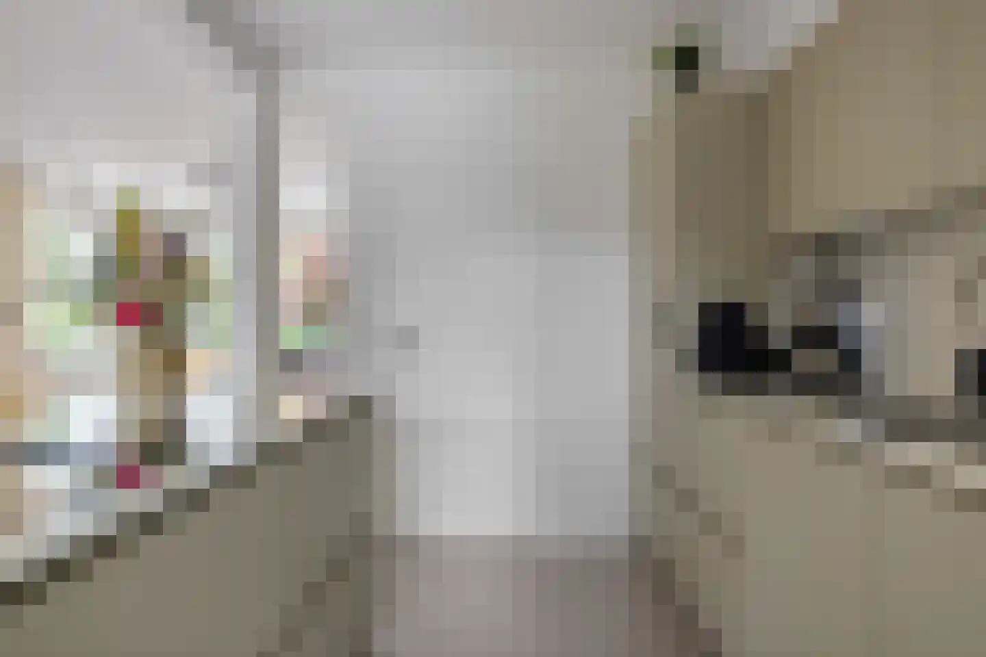 Anton Derkinderenstraat 15 Heeswijk-Dinther thumbnail 13
